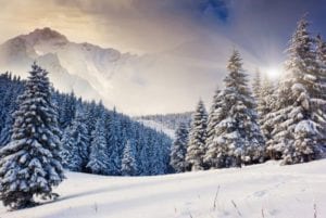 Bike Odyssey 2018: Τα γνωστά Χιονοδρομικά Κέντρα που βρίσκονται στη διαδρομή του αγώνα