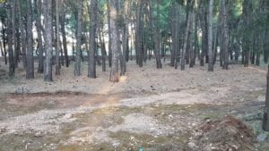 Σχεδόν έτοιμη η πίστα στην Κάτω Τιθορέα!!